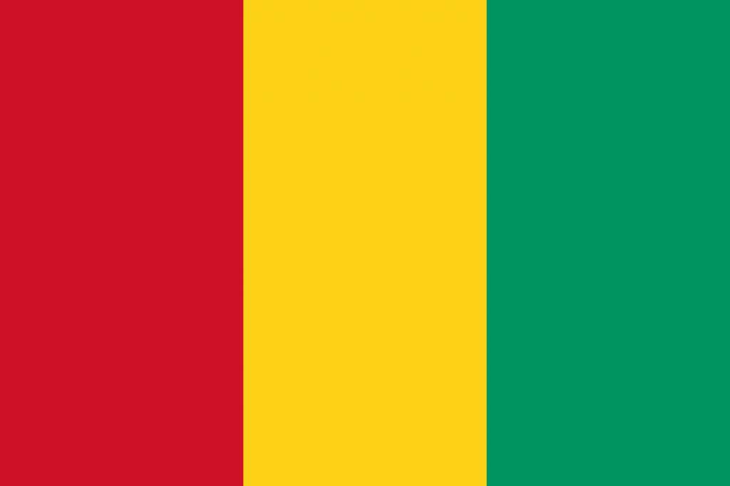 L'Association des Entreprises de Construction de Guinée (AECG) 